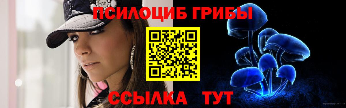 Черняховск  Галлюциногенные грибы Psilocybine cubensis  Галлюциногенные грибы Psilocybe  Вход с VPN 